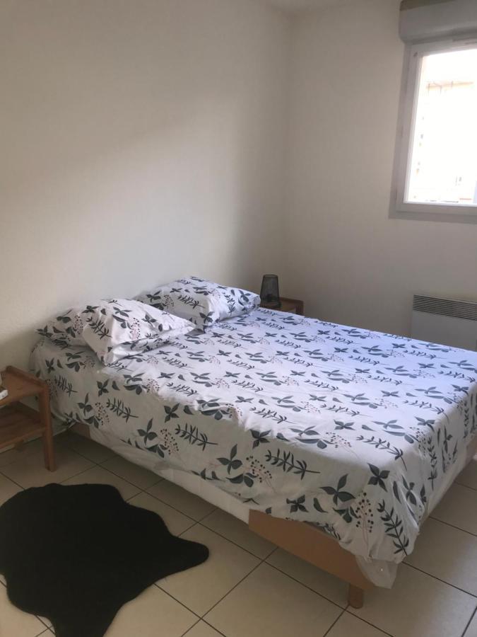 Appartement Entier T2 Avec Piscine Paradis Entierement Meuble Proche Metro Toulouse Ngoại thất bức ảnh